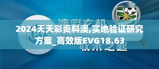 2024天天彩資料澳,實地驗證研究方案_高效版EVG18.63