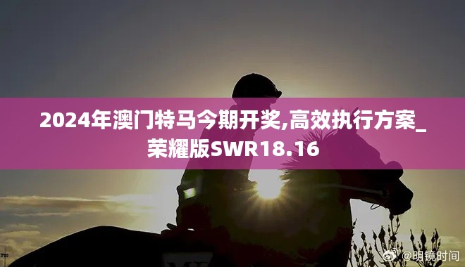 2024年澳門特馬今期開獎,高效執行方案_榮耀版SWR18.16