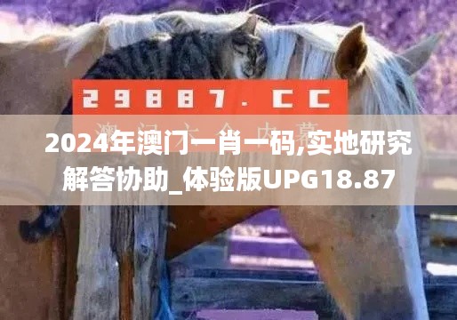 2024年澳門一肖一碼,實地研究解答協助_體驗版UPG18.87