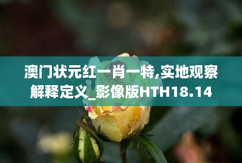 澳門(mén)狀元紅一肖一特,實(shí)地觀察解釋定義_影像版HTH18.14