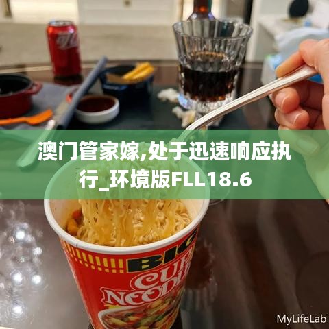 澳門管家嫁,處于迅速響應(yīng)執(zhí)行_環(huán)境版FLL18.6