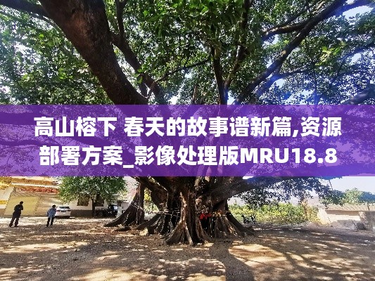 高山榕下 春天的故事譜新篇,資源部署方案_影像處理版MRU18.80