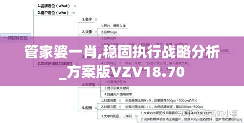 管家婆一肖,穩固執行戰略分析_方案版VZV18.70