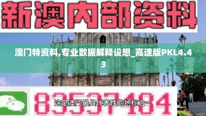澳門特資料,專業數據解釋設想_高速版PKL4.43