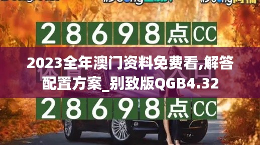 2023全年澳門(mén)資料免費(fèi)看,解答配置方案_別致版QGB4.32