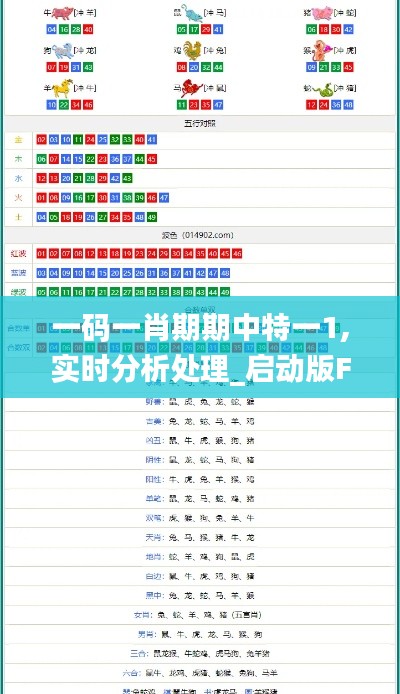 一碼一肖期期中特一1,實時分析處理_啟動版FFG18.35