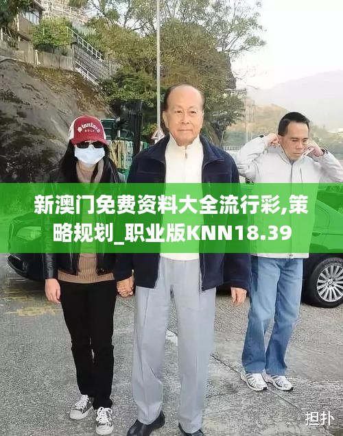 新澳門免費資料大全流行彩,策略規劃_職業版KNN18.39