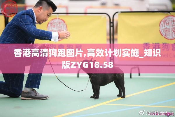 香港高清狗跑圖片,高效計劃實施_知識版ZYG18.58