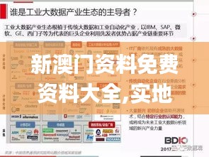 新澳門資料免費資料大全,實地數據評估分析_游戲版EGS4.13
