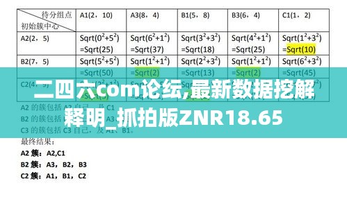 二四六com論紜,最新數據挖解釋明_抓拍版ZNR18.65