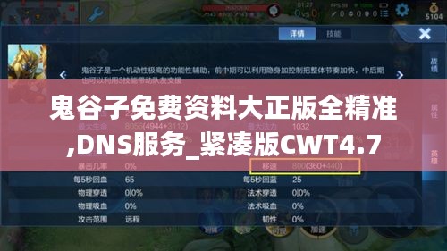 鬼谷子免費(fèi)資料大正版全精準(zhǔn),DNS服務(wù)_緊湊版CWT4.7