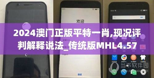 2024澳門正版平特一肖,現況評判解釋說法_傳統版MHL4.57