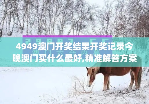 4949澳門(mén)開(kāi)獎(jiǎng)結(jié)果開(kāi)獎(jiǎng)記錄今晚澳門(mén)買(mǎi)什么最好,精準(zhǔn)解答方案詳解_賽博版NCS4.11