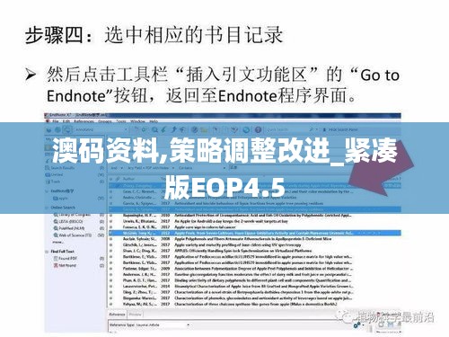 澳碼資料,策略調整改進_緊湊版EOP4.5