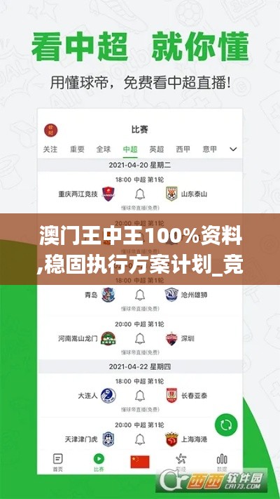 澳門王中王100%資料,穩固執行方案計劃_競技版LGH4.52