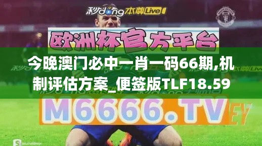 今晚澳門必中一肖一碼66期,機制評估方案_便簽版TLF18.59