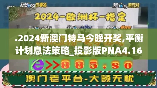 .2024新澳門特馬今晚開獎,平衡計劃息法策略_投影版PNA4.16