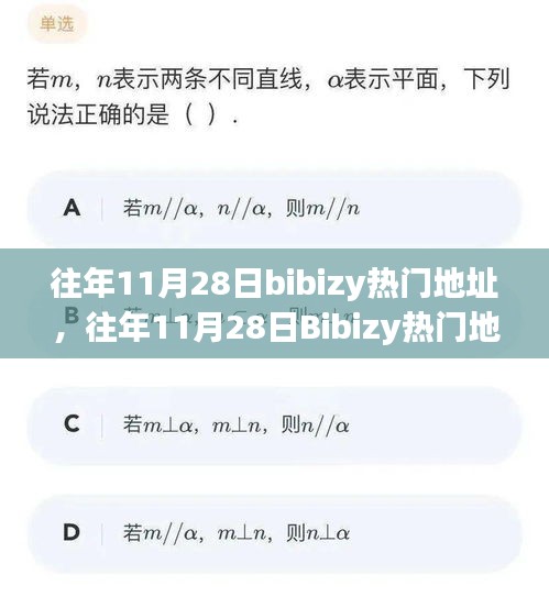 往年11月28日Bibizy熱門地址變遷背后的價(jià)值與影響透視