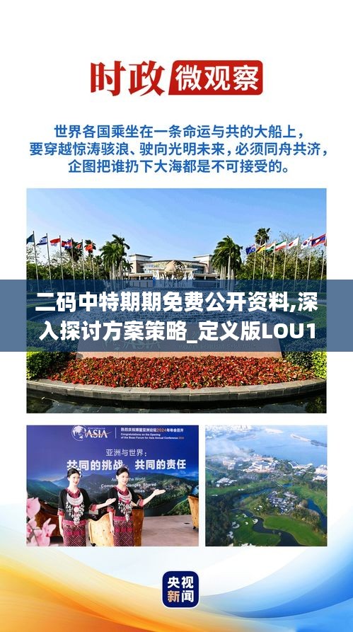 二碼中特期期免費公開資料,深入探討方案策略_定義版LOU18.42