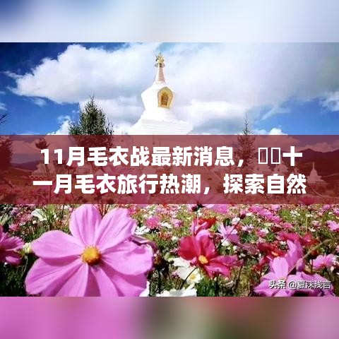 十一月毛衣旅行熱潮，探索自然美景，心靈之旅啟幕
