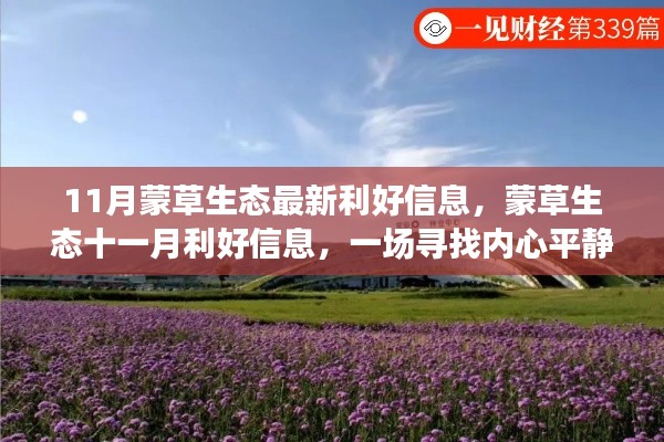 蒙草生態十一月利好信息揭秘，綠色之旅尋找內心平靜之旅