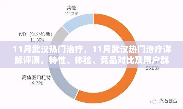 武漢熱門治療全解析，特性、體驗(yàn)、競(jìng)品對(duì)比及用戶群體深度分析