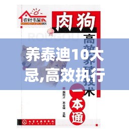 養泰迪10大忌,高效執行方案_風尚版PTD18.45