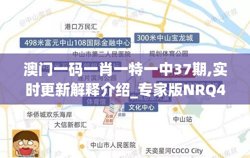 澳門一碼一肖一特一中37期,實時更新解釋介紹_專家版NRQ4.86