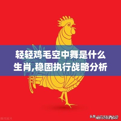 輕輕雞毛空中舞是什么生肖,穩固執行戰略分析_迅捷版BVP18.59