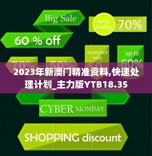 2023年新澳門精準資料,快速處理計劃_主力版YTB18.35