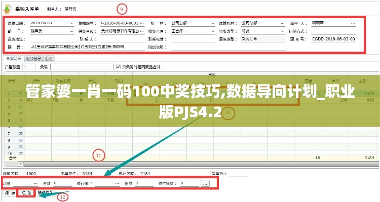 管家婆一肖一碼100中獎技巧,數據導向計劃_職業版PJS4.2