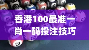 香港100最準一肖一碼投注技巧,全盤細明說明_仿真版NVG4.56