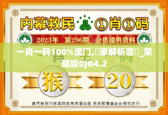一肖一碼100%澳門,專家解析意見_榮耀版DJG4.2