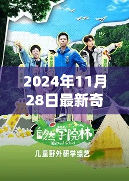 2024年奇妙小森林探險指南，探索與學習的全新旅程