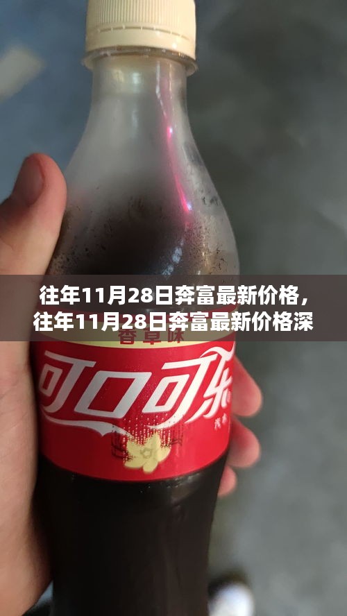 往年11月28日奔富最新價格深度解析，特性、體驗、競品對比及用戶群體全方位分析評測報告