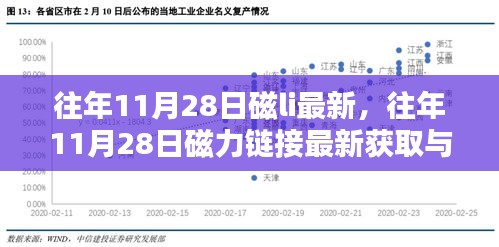 往年11月28日磁力鏈接最新獲取與使用指南詳解