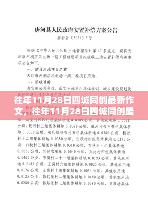 往年11月28日四城同創最新作文及其產品評測介紹