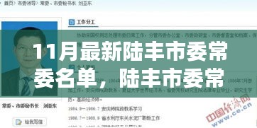 陸豐市委常委名單更新，特性、體驗、競品對比及用戶群體深度解析