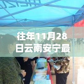 云南安寧最新招聘信息概覽，歷年11月28日更新匯總