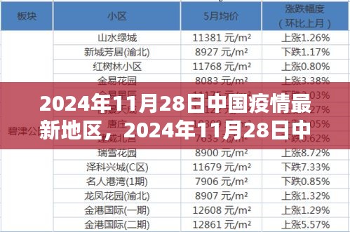 2024年11月28日中國疫情最新動態，全面防控與積極應對