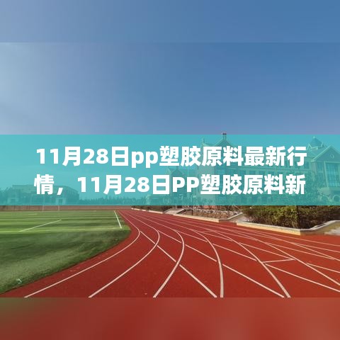 11月28日PP塑膠原料行情下的心靈探索，自然寶藏與內心寧靜的擁抱