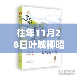 探秘神秘書店，葉城柳昭晴小說最新章節免費閱讀揭秘！