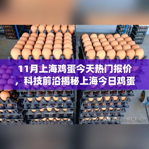 上海雞蛋行情熱門報(bào)價(jià)揭秘，科技引領(lǐng)智能交易新時(shí)代