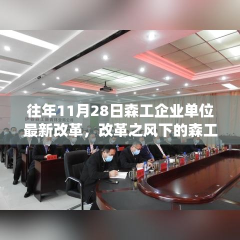 森工企業單位改革之旅，日常溫馨變革的啟示（最新改革動態）