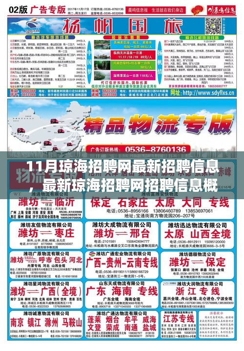 11月瓊海招聘網最新招聘信息聚焦，熱點職位與趨勢發展概覽
