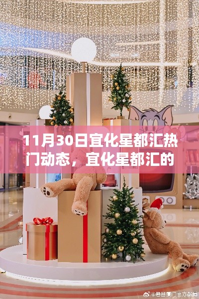 宜化星都匯11月30日溫馨日常與奇遇，陪伴中的火熱動態(tài)