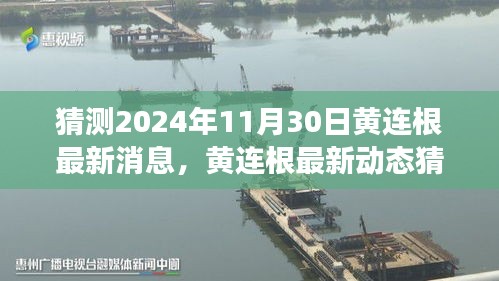 黃連根最新動態猜想，展望與影響至2024年11月30日