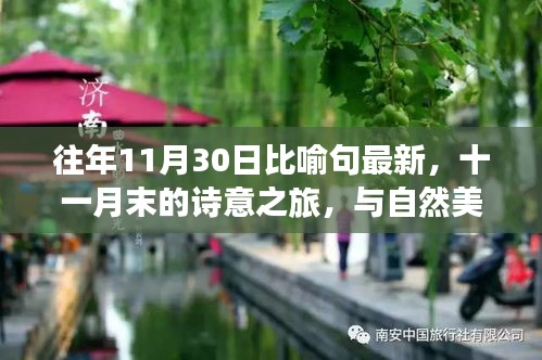 十一月末的詩意之旅，與自然美景共舞，尋找內心的寧靜，比喻句精選呈現