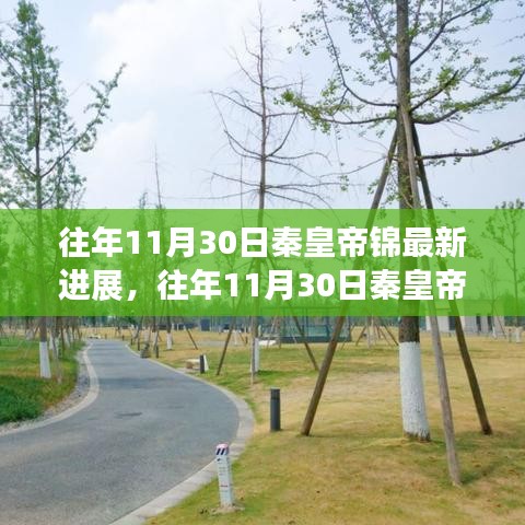 秦皇帝錦最新進(jìn)展揭秘，參與方式及進(jìn)展詳解，了解項(xiàng)目每一步動(dòng)態(tài)