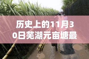 歷史上的11月30日蕪湖元畝塘最新消息，歷史上的今天，蕪湖元畝塘的新篇章——變化中的學(xué)習(xí)，鑄就自信與成就